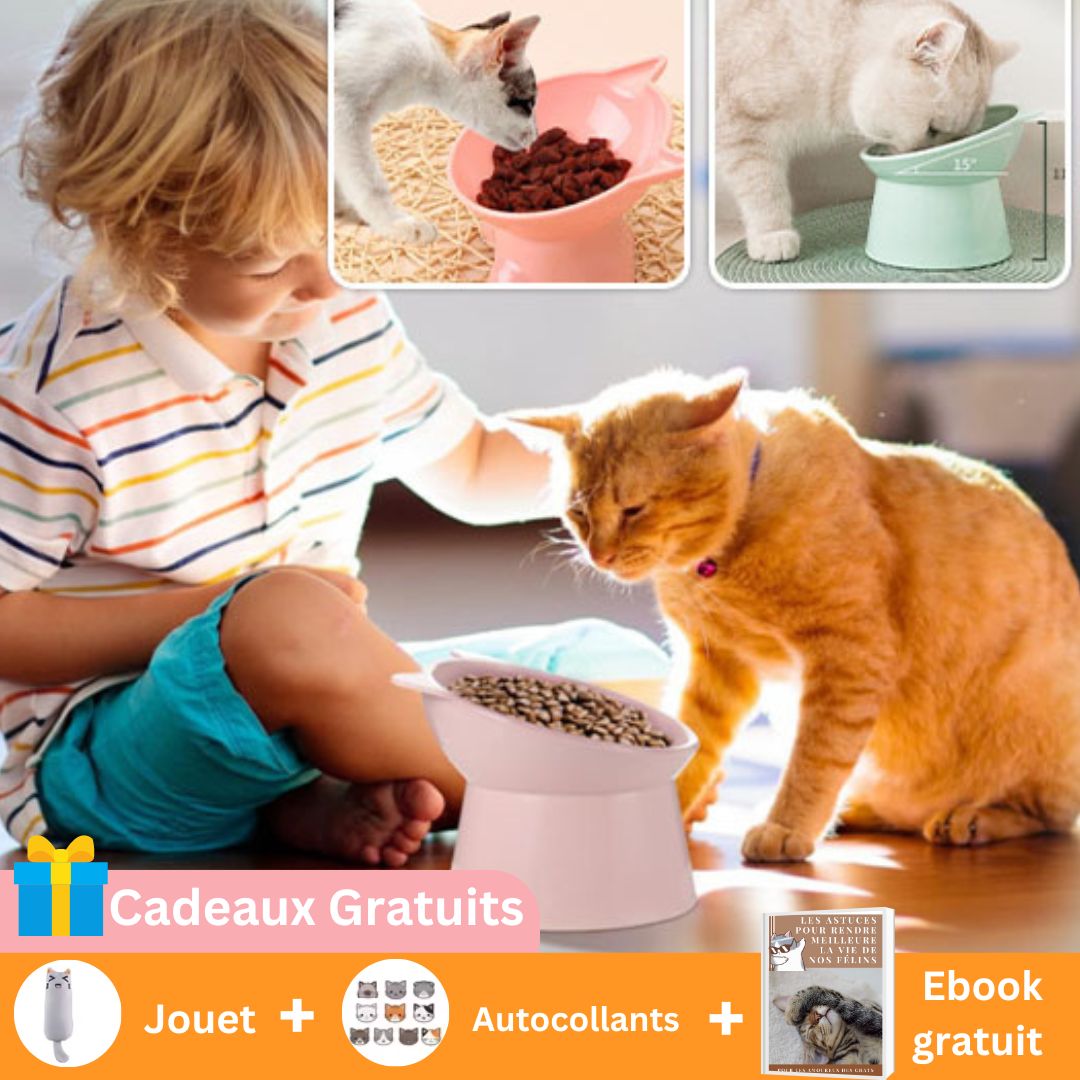 Bol "Bien - être"™ surélevé ergonomique - Mam'zelle Sassy