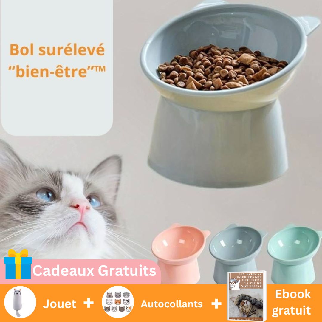 Bol "Bien - être"™ surélevé ergonomique - Mam'zelle Sassy