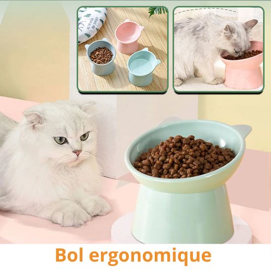 Bol surélevé "bien - être"™ - Bol ergonomique (Ou bol de présentation des cacahuètes lors d'apéro des humains) - Mam'zelle Sassy