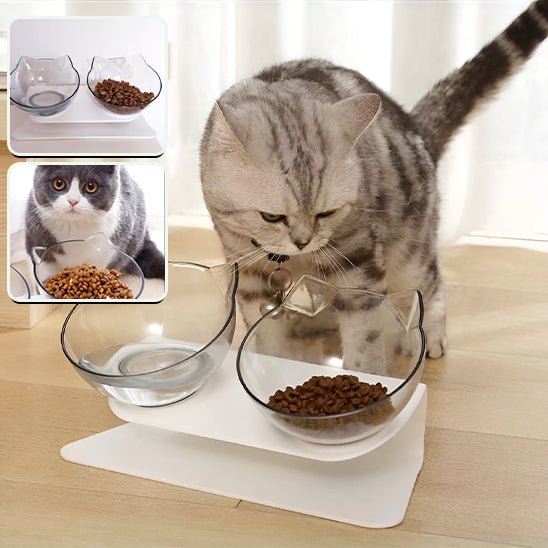 BowlyCat™ : bol ergonomique pour chats - Mam'zelle Sassy