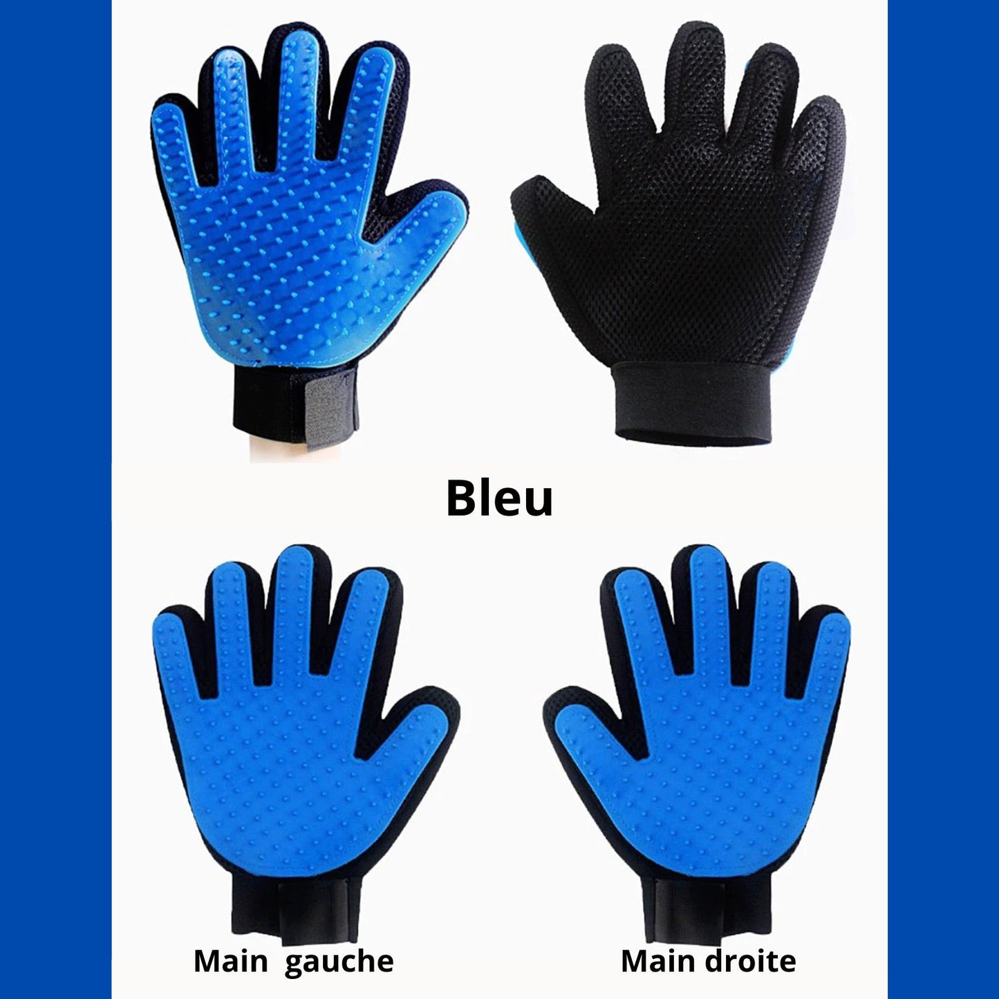 brosse pour chat bleu main droite main gauche