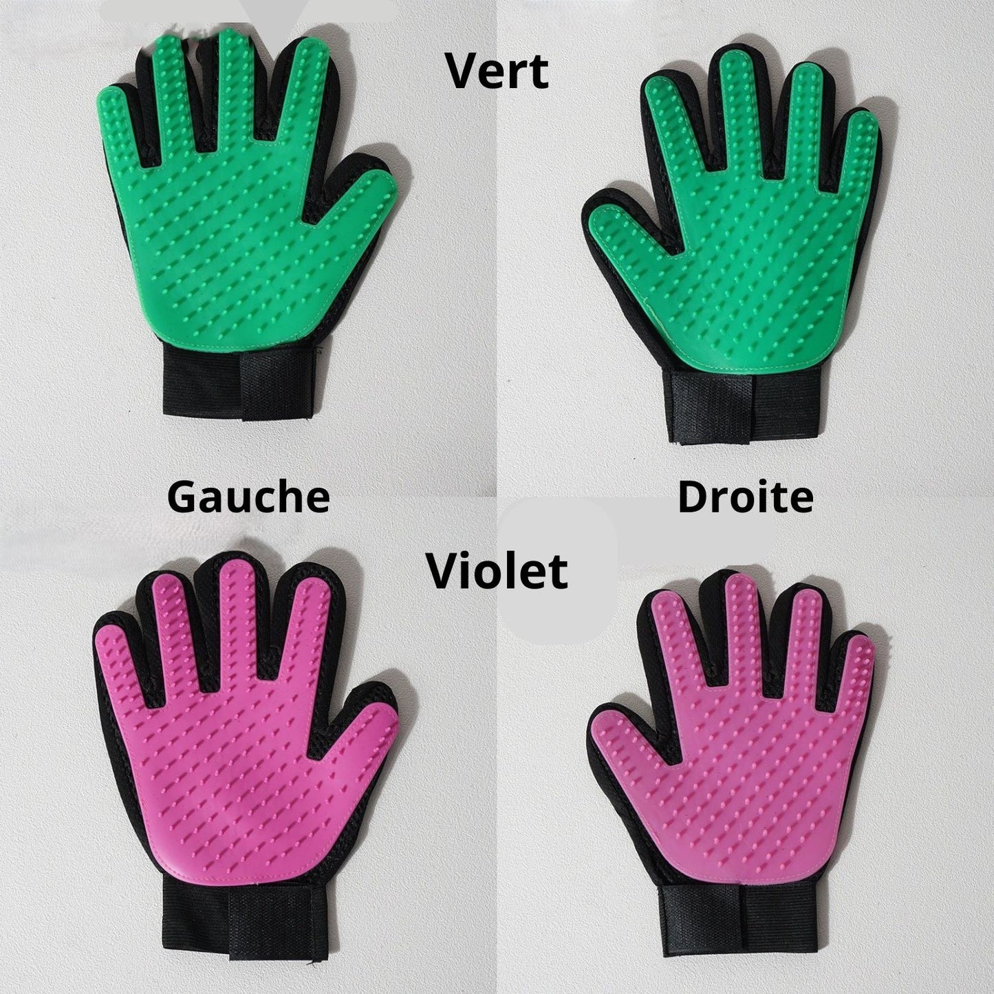 brosse pour chat vert violet main droite main gauche