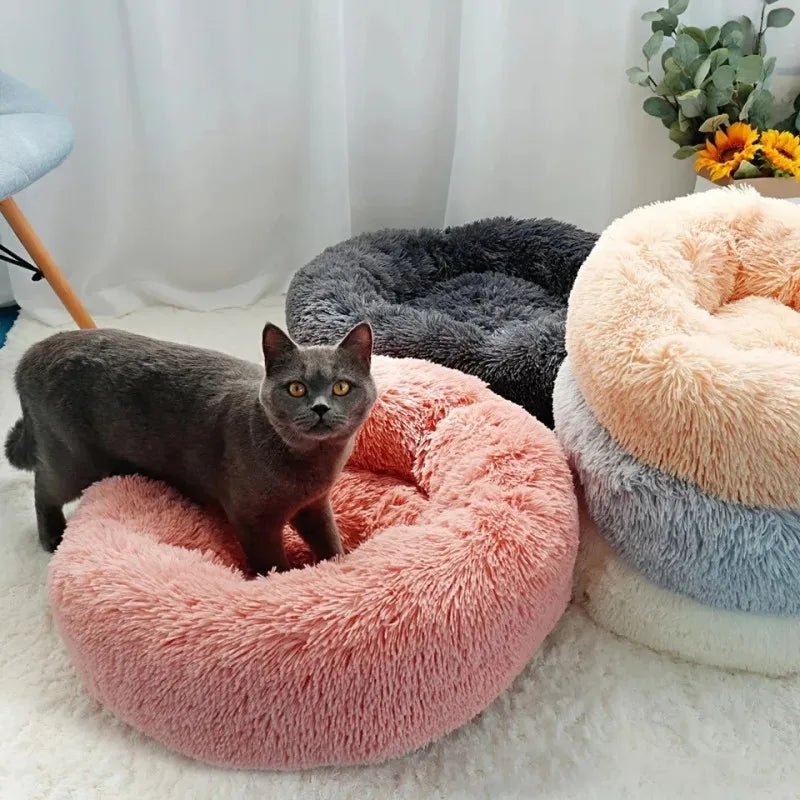 Coussin pour chats - Flushy Joe™ - Mam'zelle Sassy