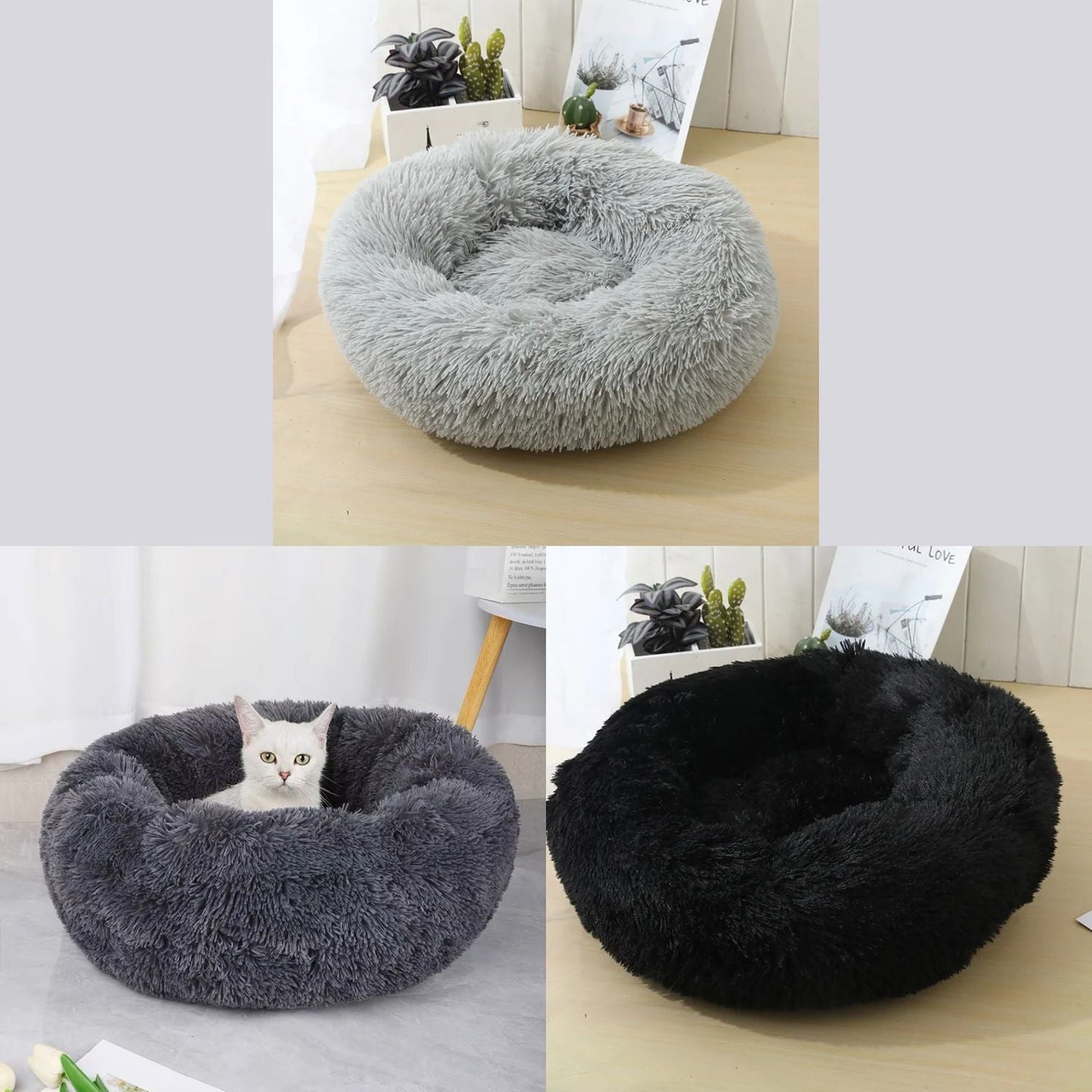 Coussin pour chats - Flushy Joe™ - Mam'zelle Sassy