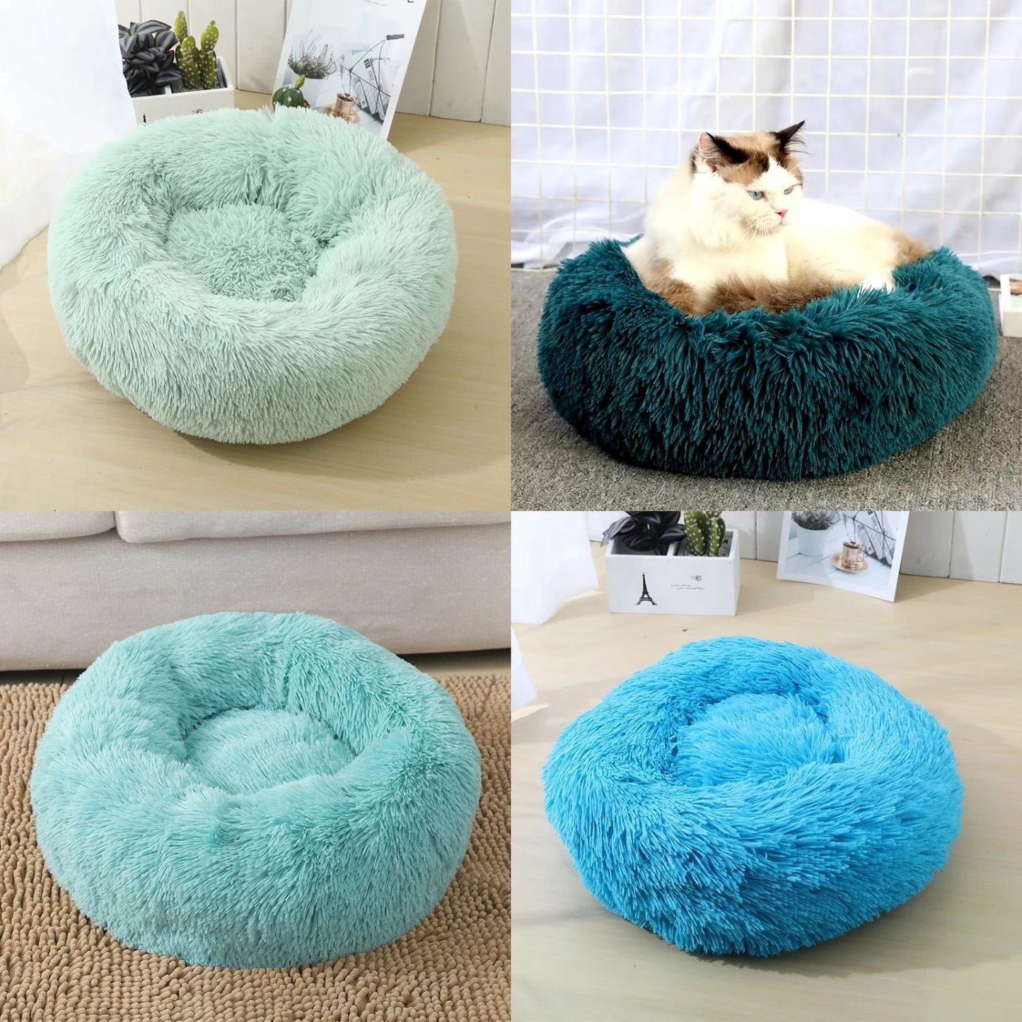 Coussin pour chats - Flushy Joe™ - Mam'zelle Sassy