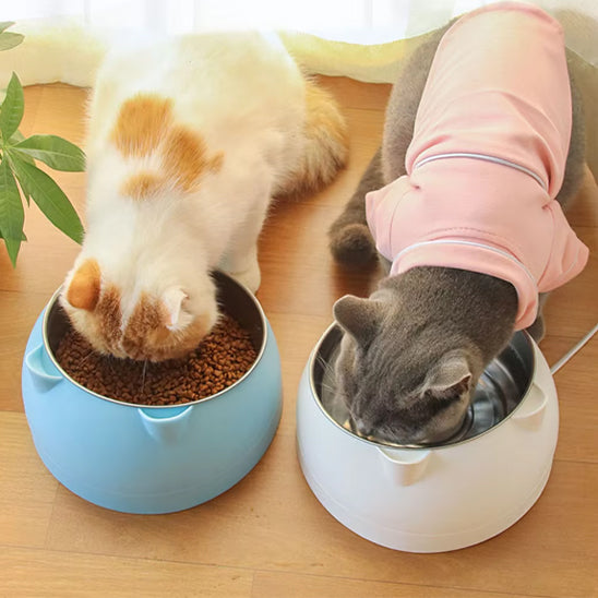 gamelle pour chat confortable inclinée