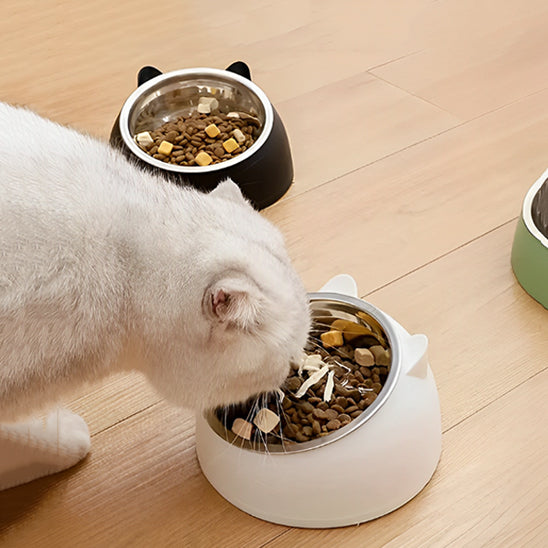 gamelle pour chat protection du cou confort