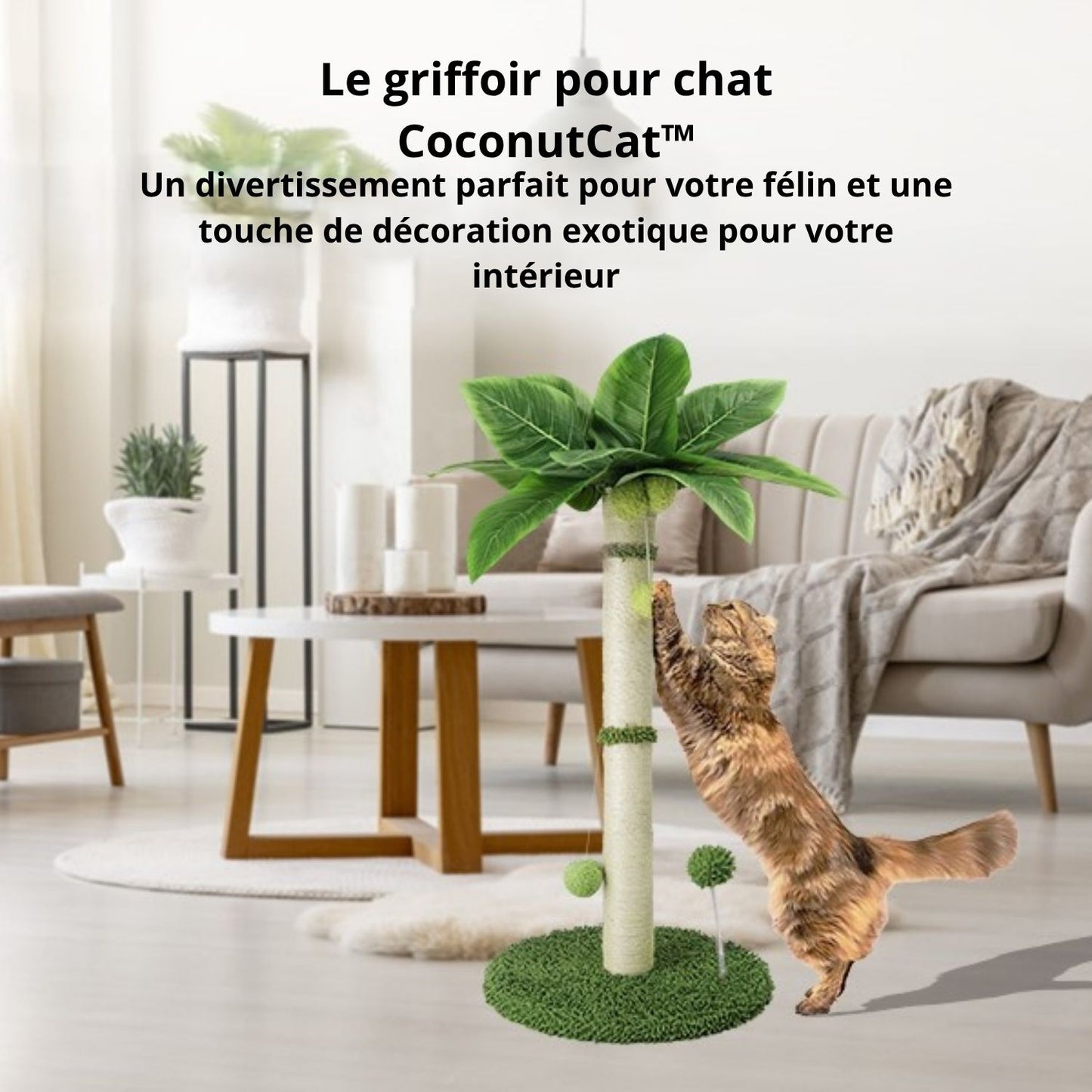 griffoir pour chat design exotique
