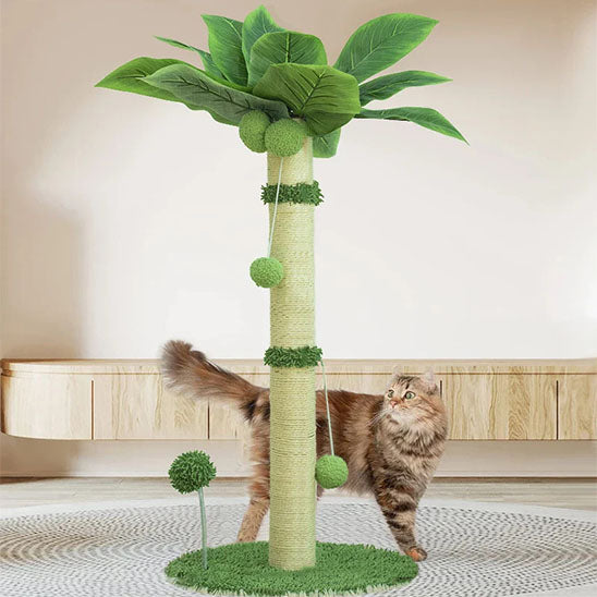 Griffoir pour chat | CoconutCat™