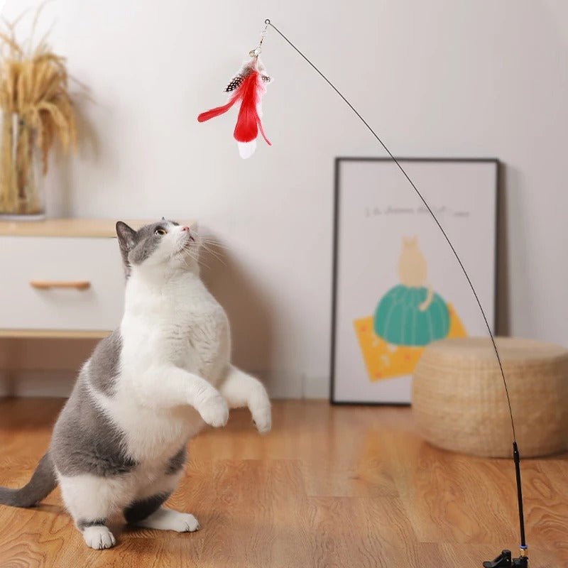 Jouet pour chat - Canne Ă plumes - Mam'zelle Sassy