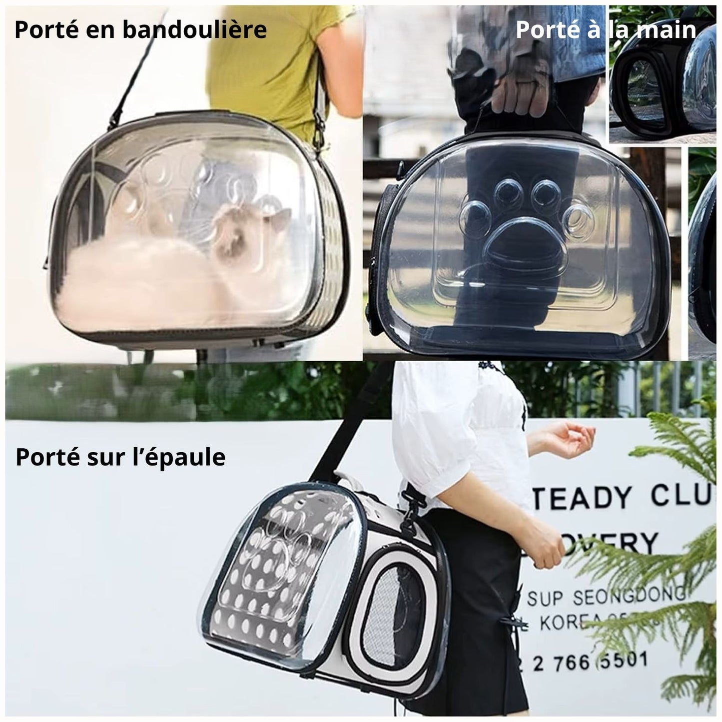 Valise de transport pour chats 360° - Mam'zelle Sassy