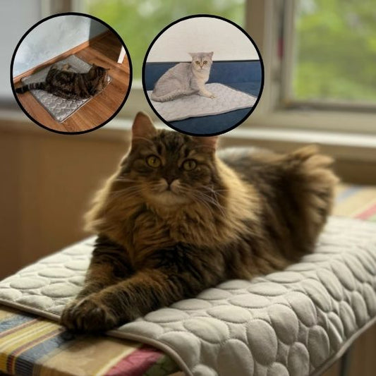 Tapis rafraichissant pour chat confort fraicheur