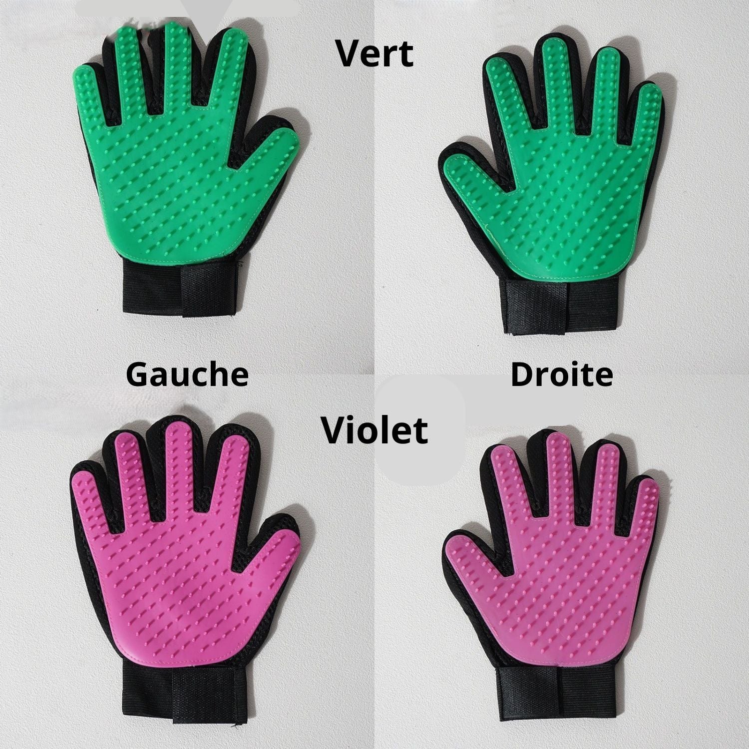 brosse pour chat vert violet main droite main gauche