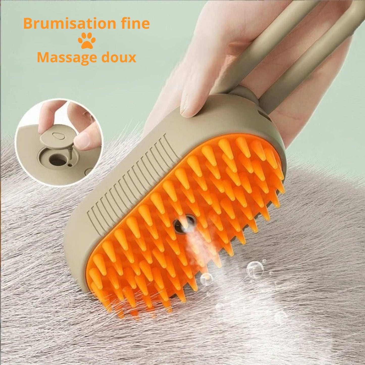 Brosse pour chats - le Spa du Chat™ - Mam'zelle Sassy