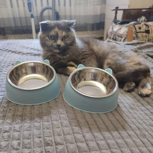 gamelle pour chat ergonomique inclinée