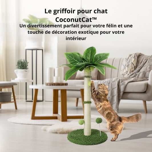 griffoir pour chat design exotique
