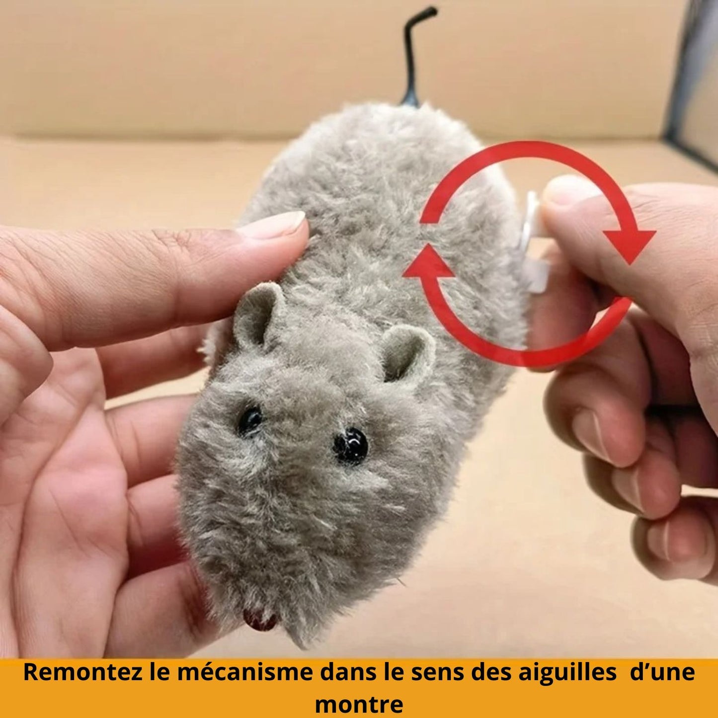 Jouet pour chat | SpeedyMouse™