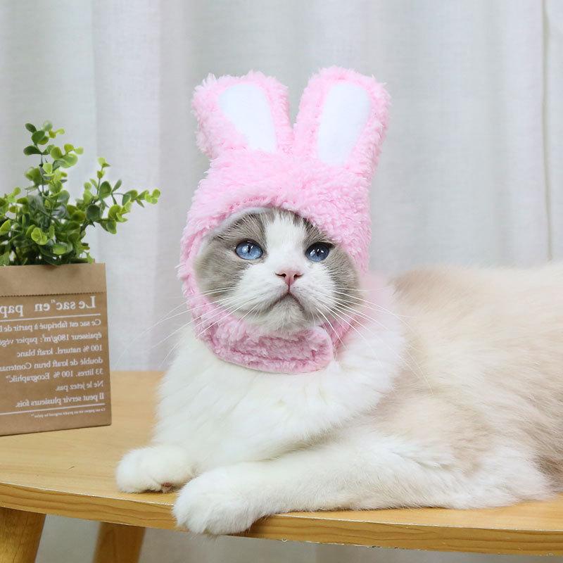 RabbitHat™ - Accessoire de déguisement pour chat - Mam'zelle Sassy